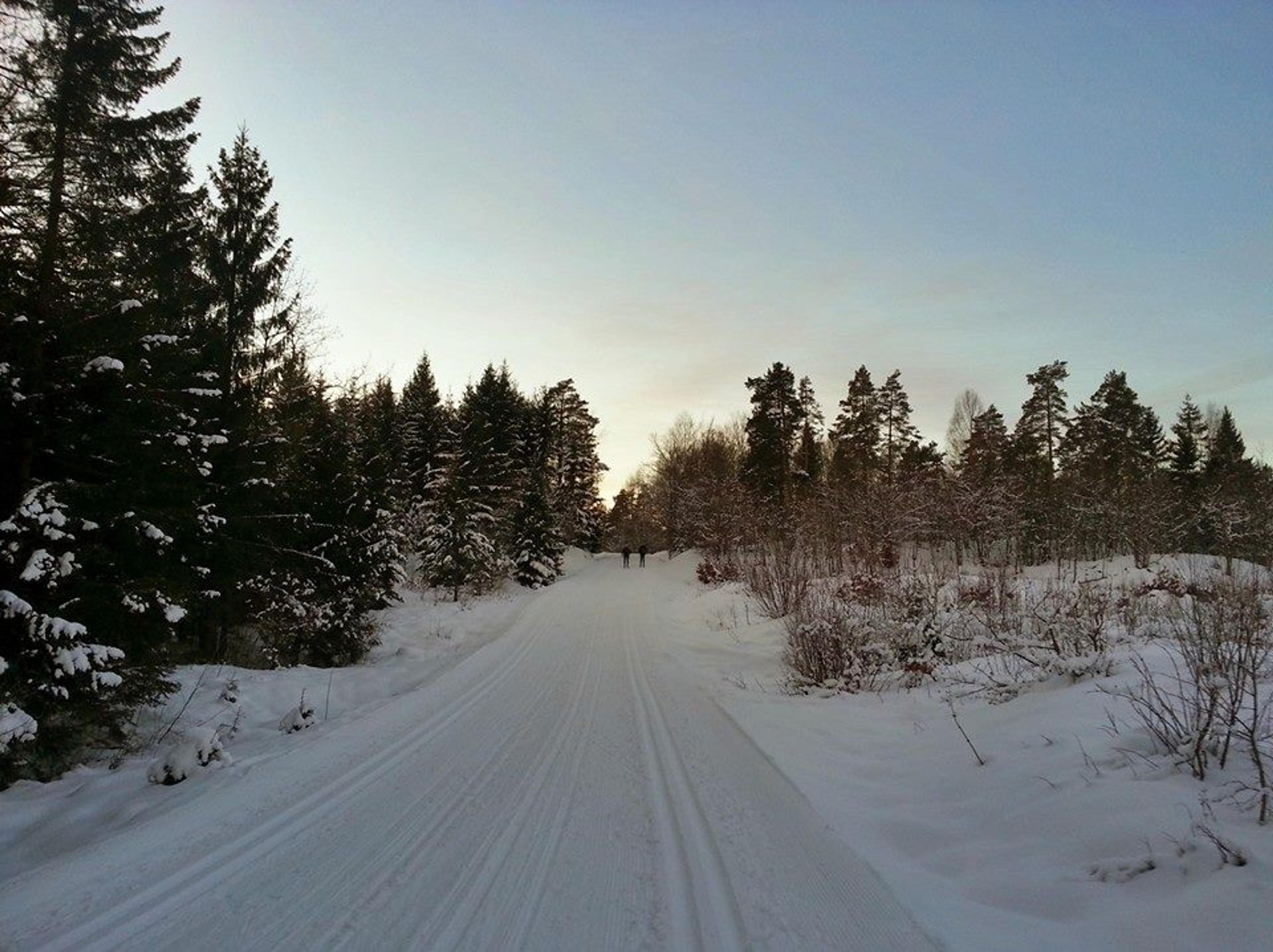 Re_loypene_Fra_Facebook