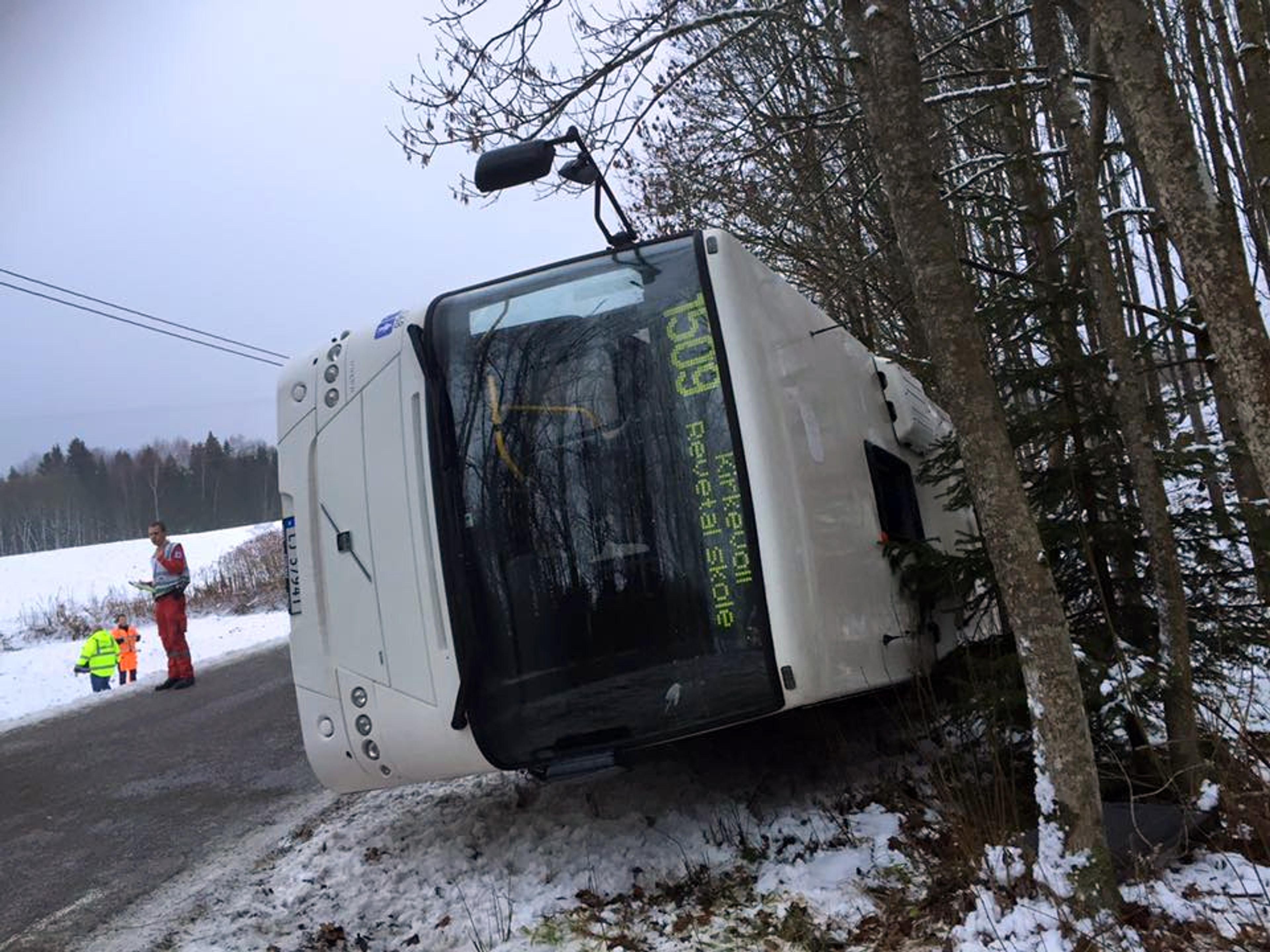 ReAvisa_buss_241115_3_NETT