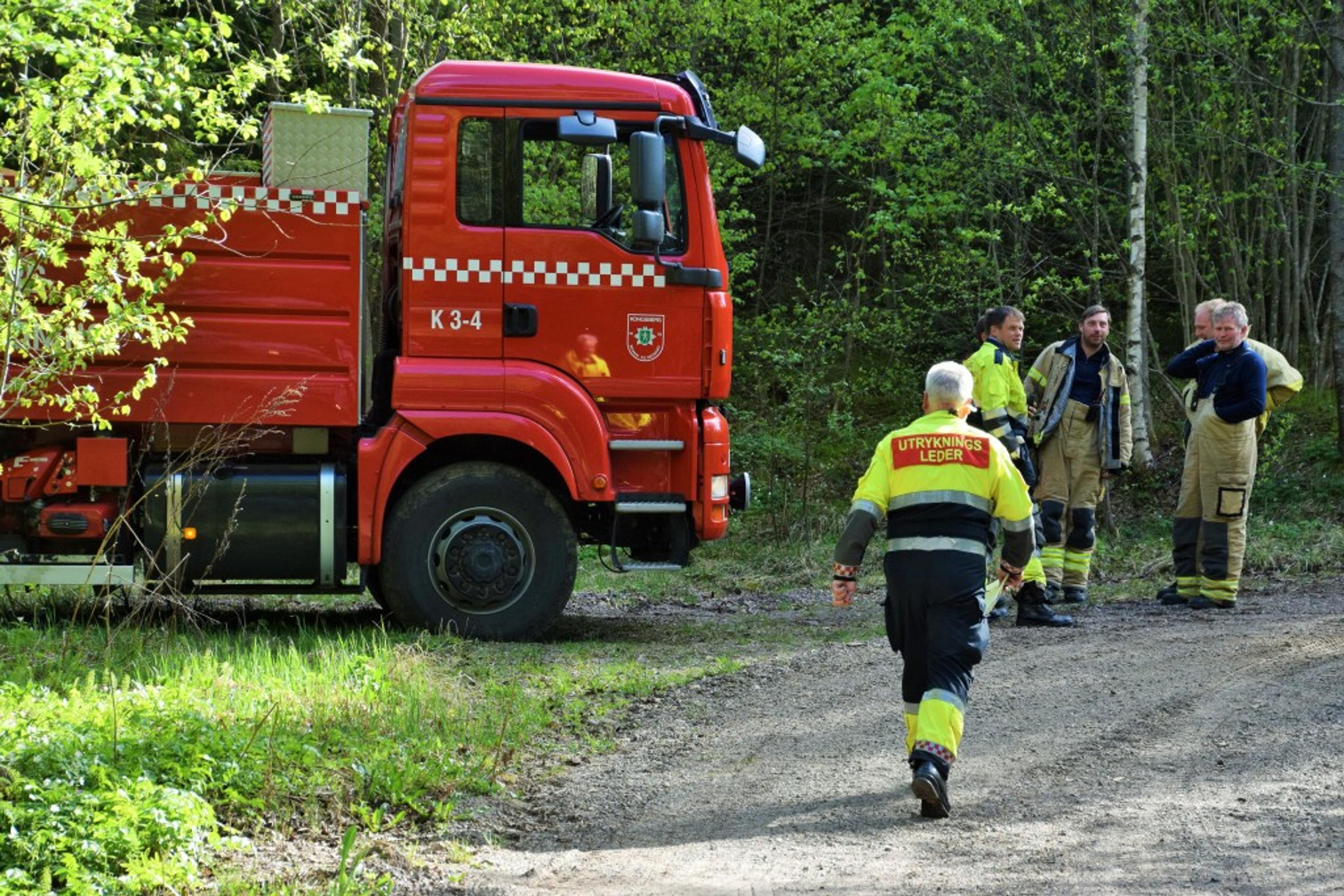 150516_SKOGBRANN (2)