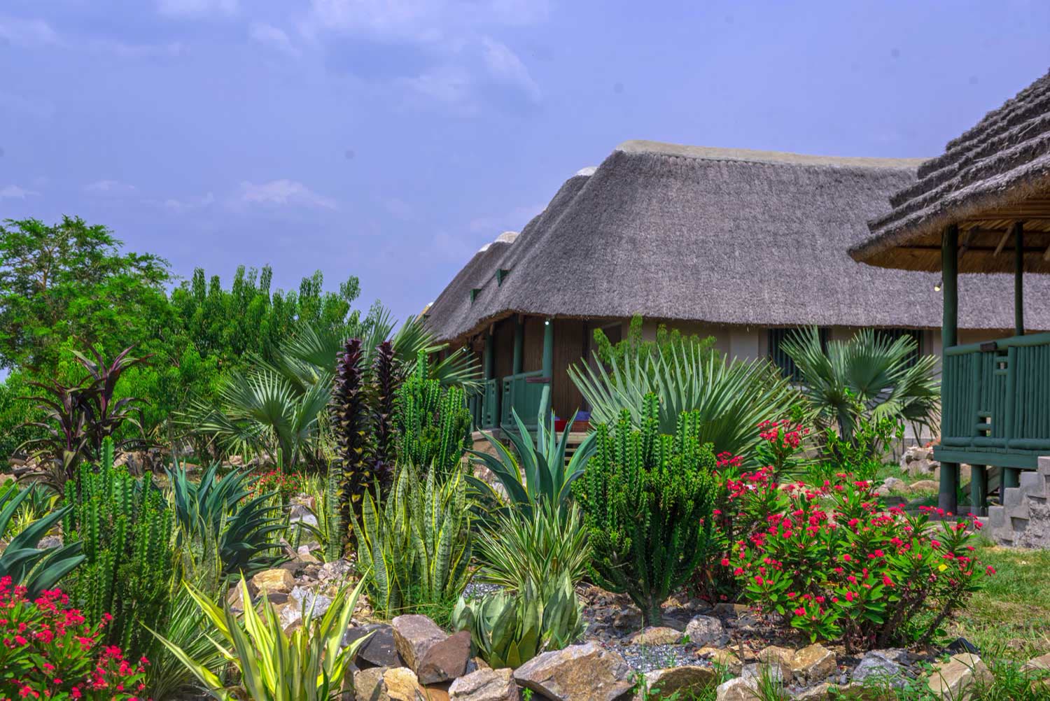 Flowering gardens between the guest cottages