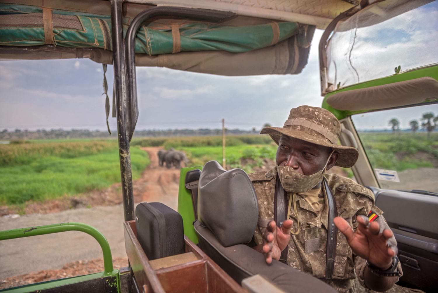 Safari & Wildlife Encounters
