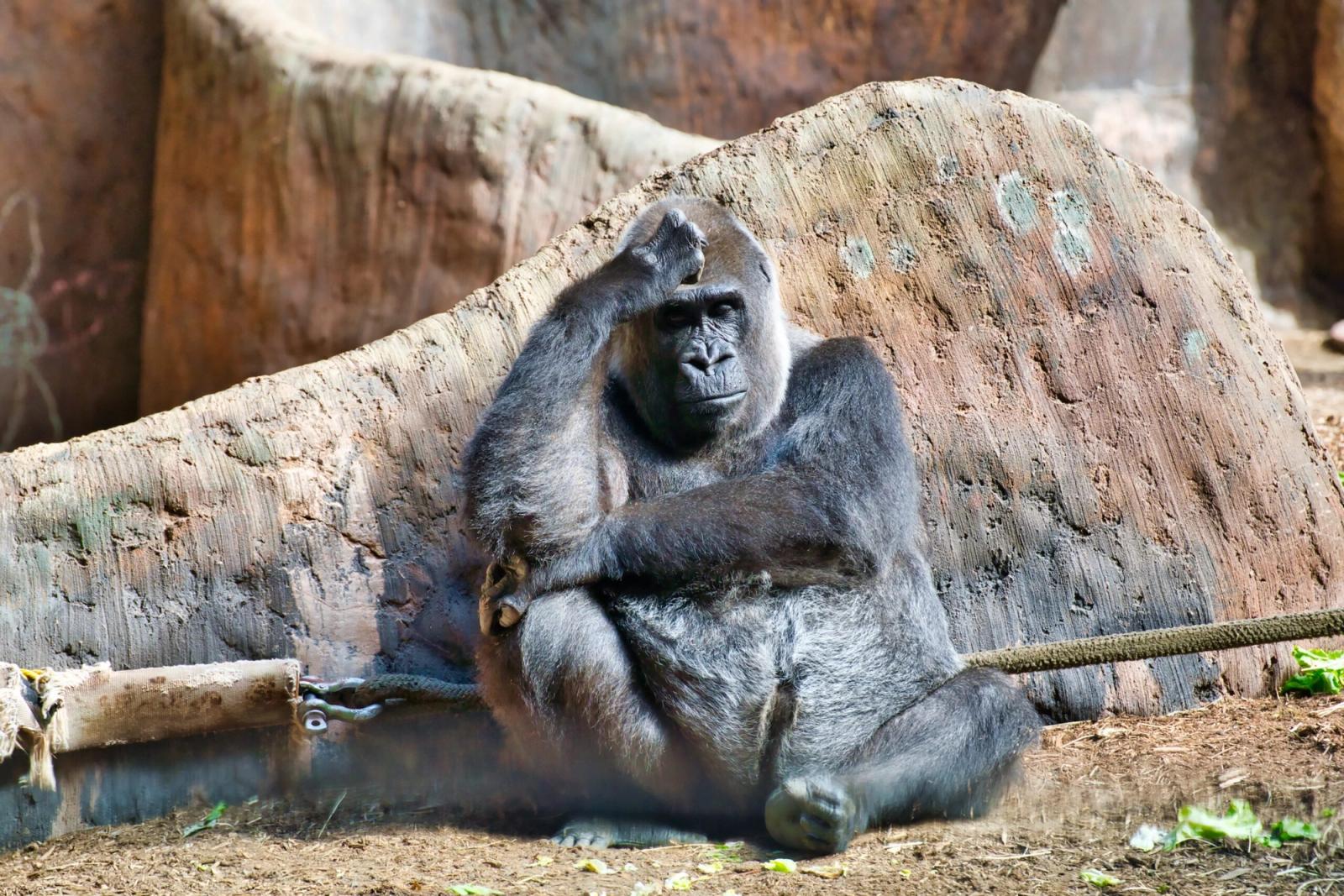 The 6 Different Types Of Marketing You’re Not Taking Advantage Of