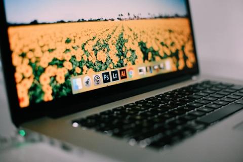 Adobe Creative Cloud (What Apps Do I Need?)