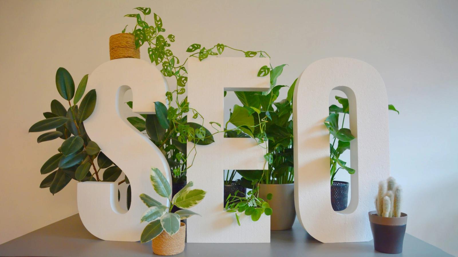 Questions To Ask SEO Agency: 15 Important Queries Before Hiring