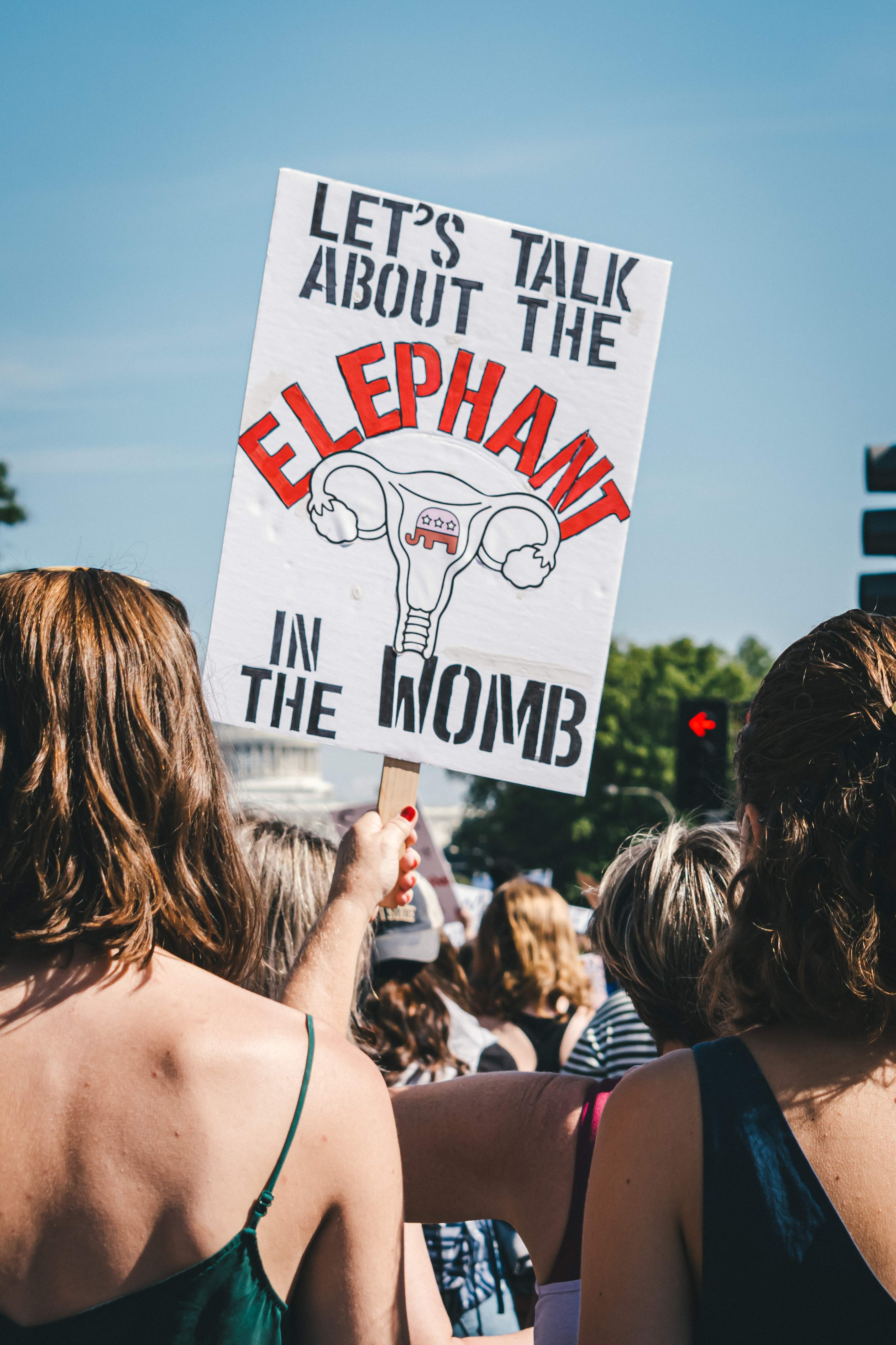 Picture of a protest featuring a sign that reads, "let's talk about the elephant in the womb."