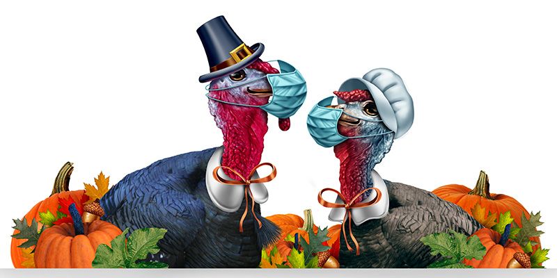 Turkeys wearing covid masks 
