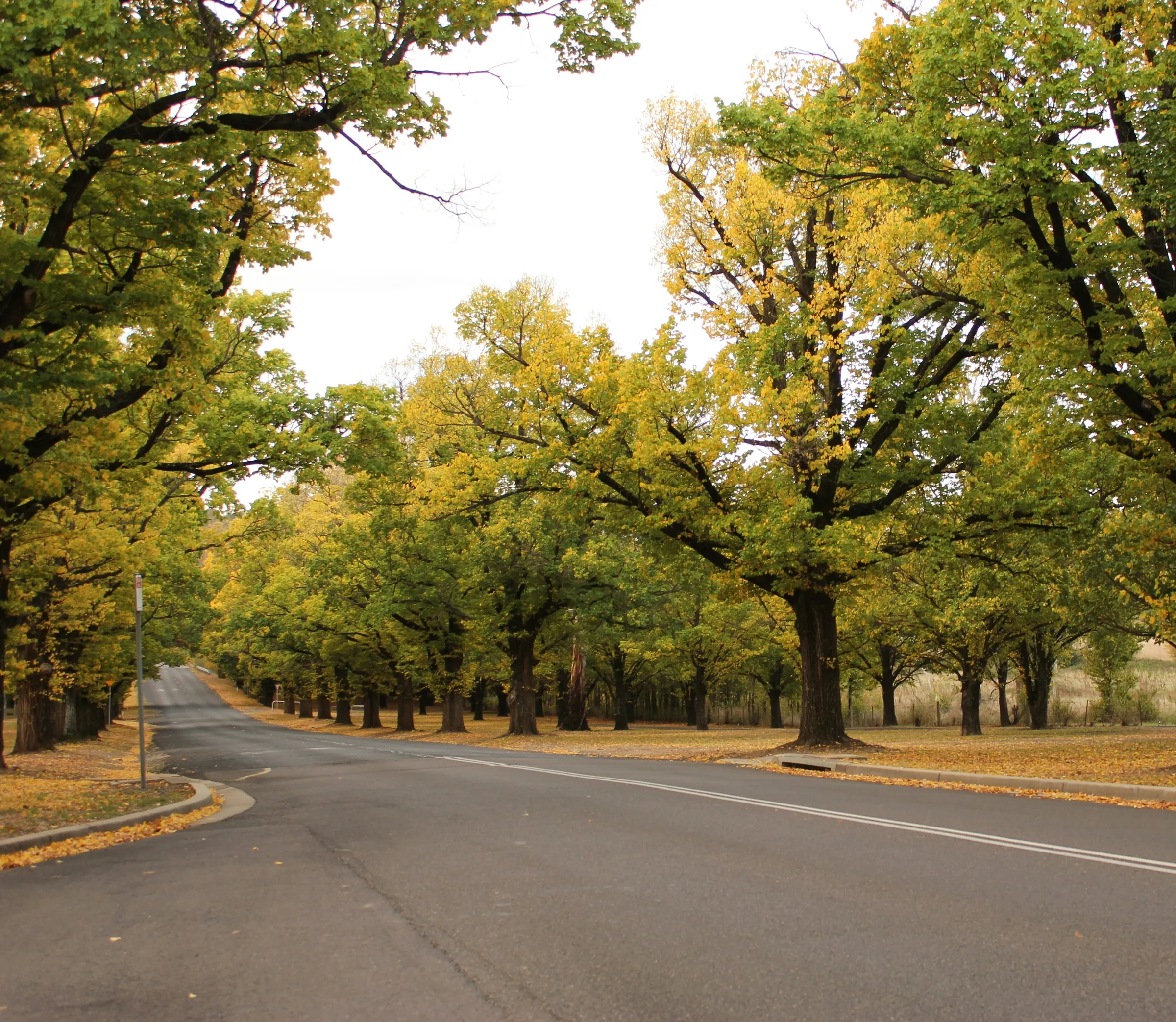 Buildcert private certifiers Armidale New England