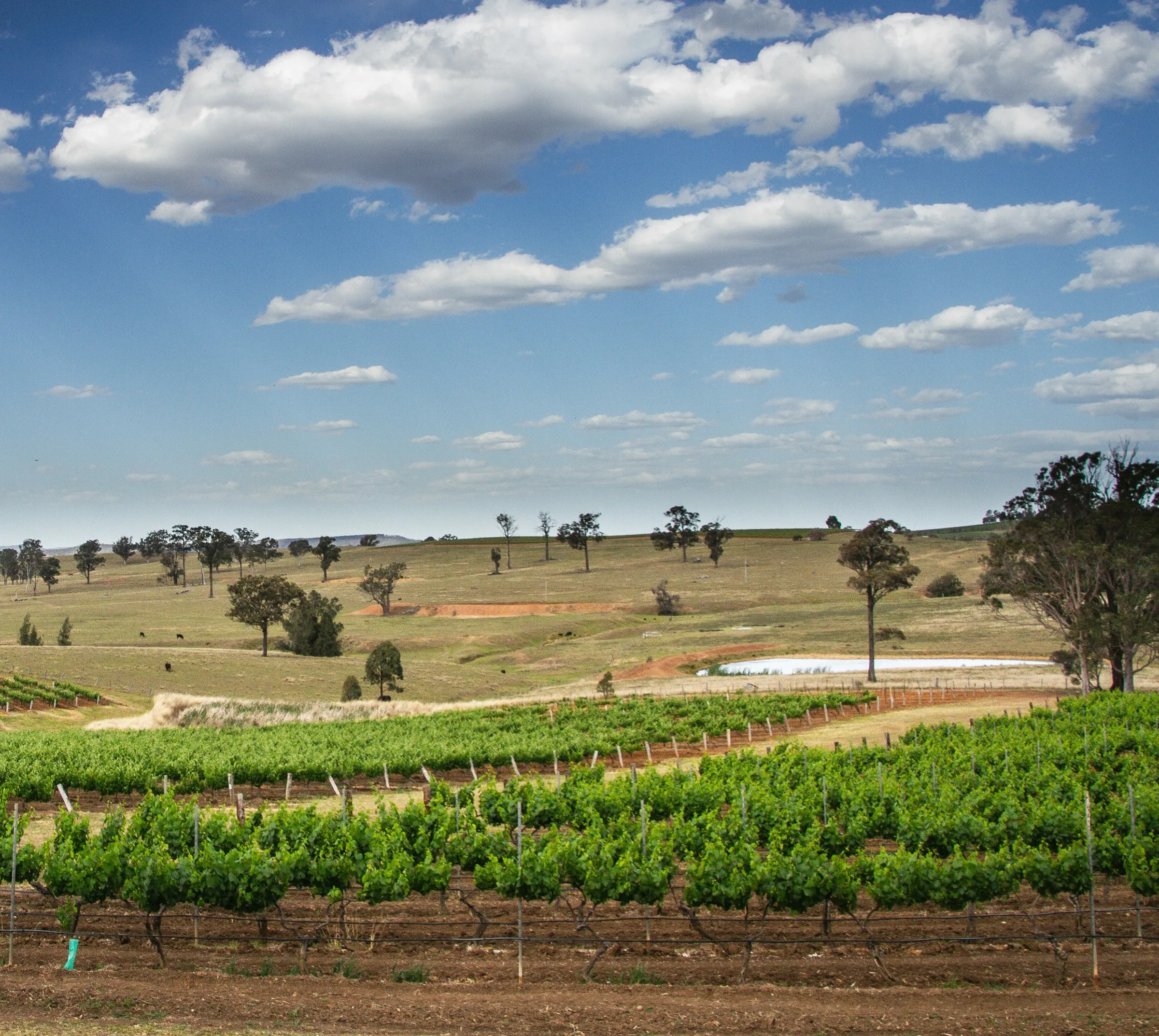 Buildcert private certifiers Hunter and Upper Hunter region