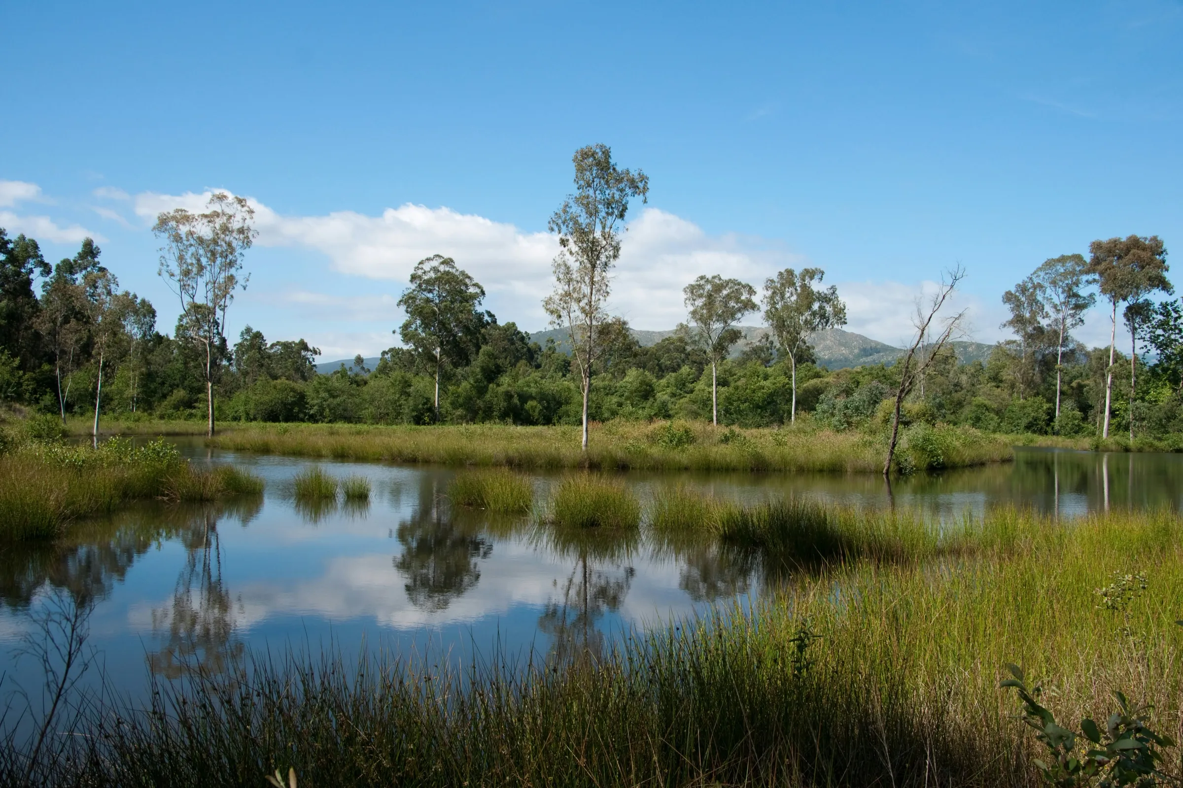 Buildcert private certifiers Taree Mid North Coast