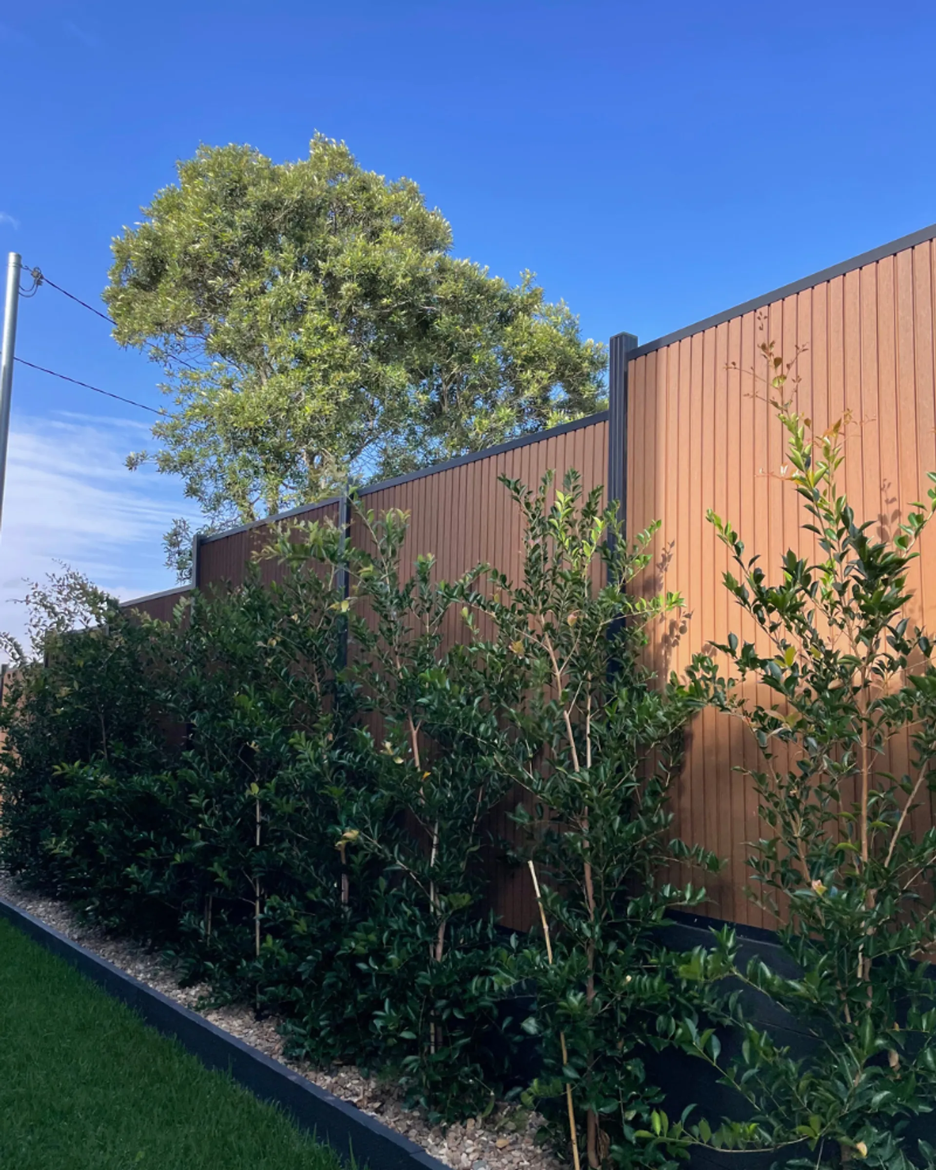 Commercial and tenancy fit outs private certification buildcert