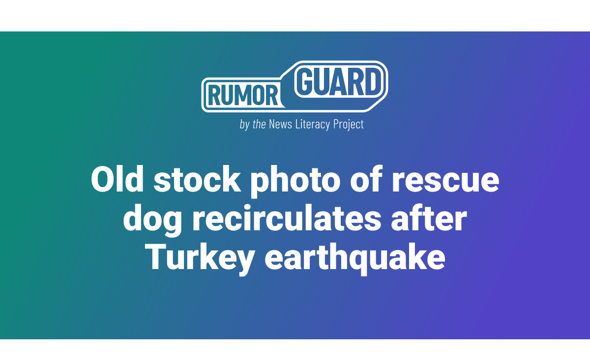 Old stock photo of rescue dog recirculates after Turkey earthquake
