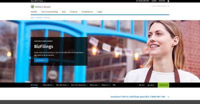 BizFilings website screenshot