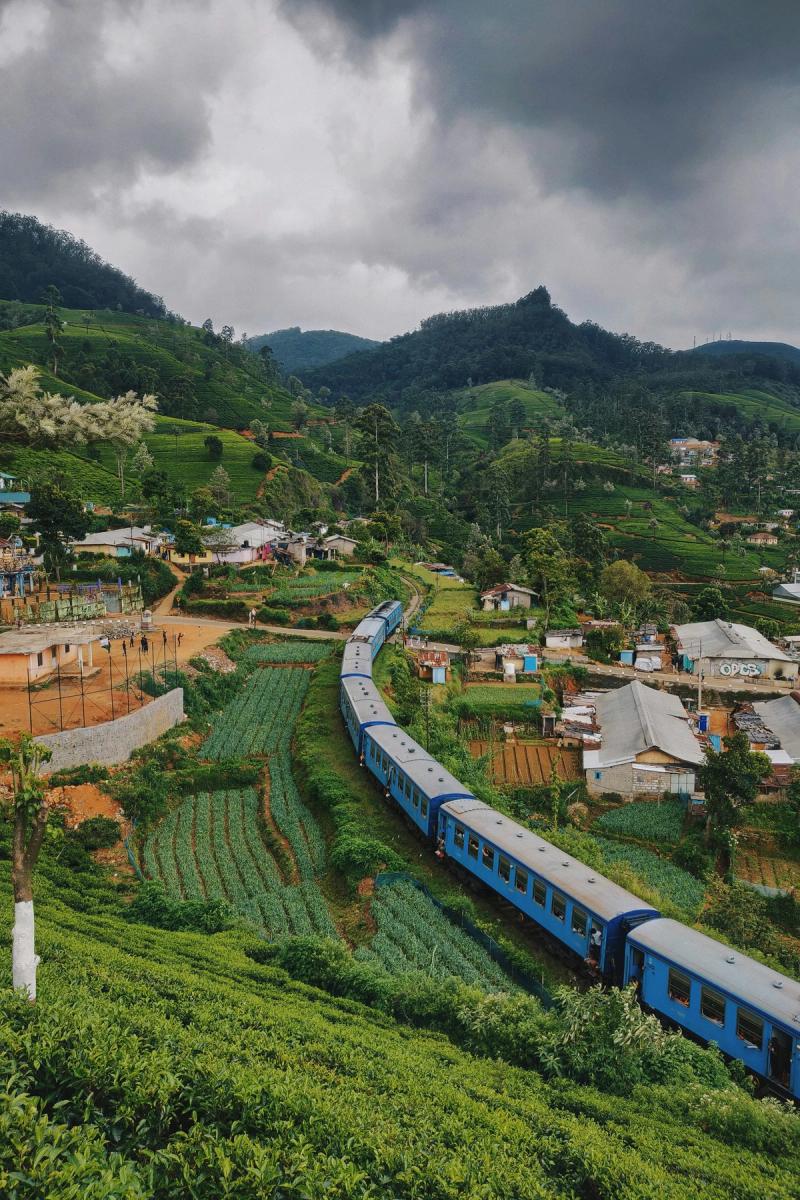 Nanu Oya to Ella – Scenic Train Journey
