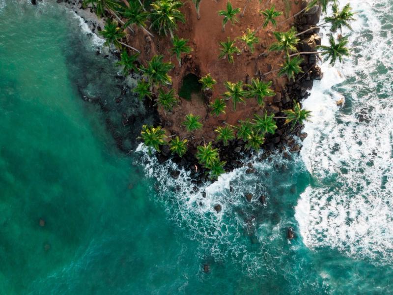 Mirissa Beach & Coconut Tree Hill
