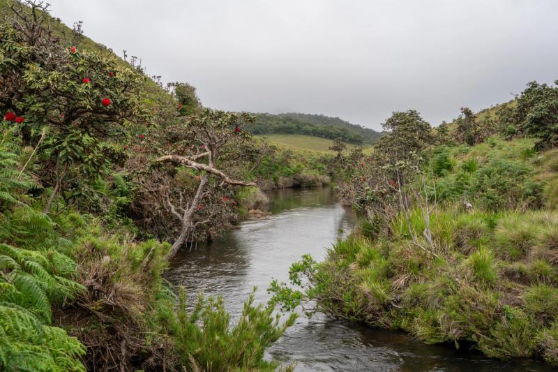 Horton Plains National Park – World’s End