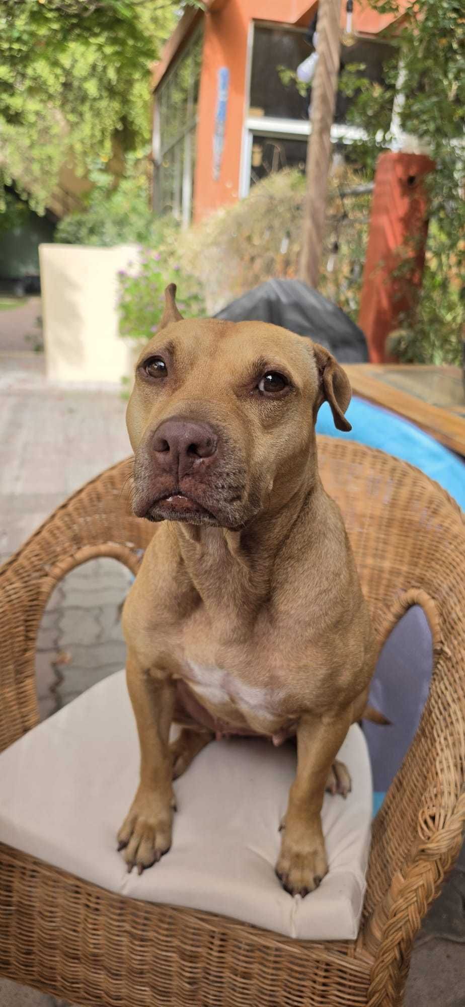 Betty