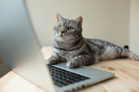 you with your perfect job after a perfect recruiter call