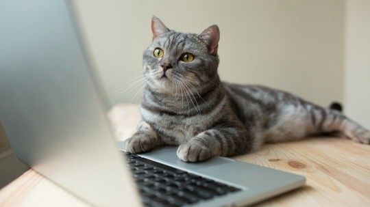  A Checklist for Improving Your CV