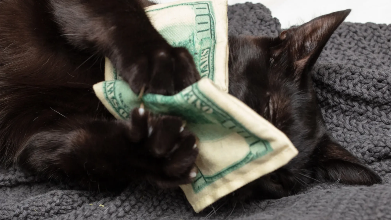 What to Say When a Recruiter Asks for Your Salary Expectations