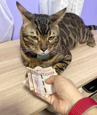 You when you're offered the bottom of the range