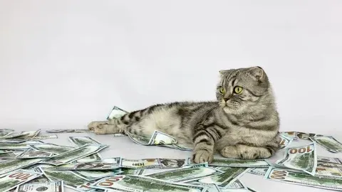 Pay Transparency