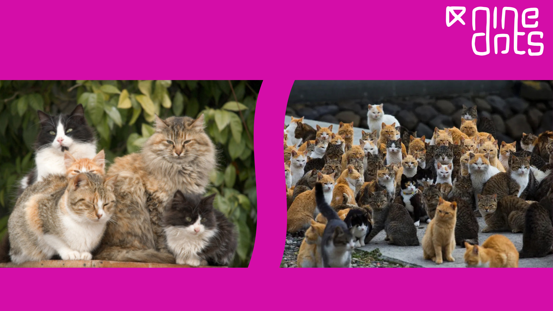 Start Up vs Big Tech