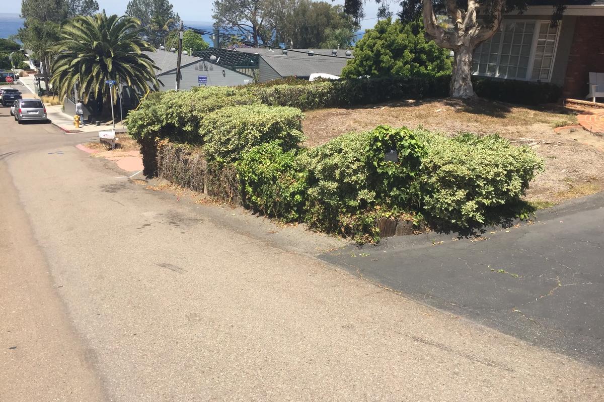 Before transformation