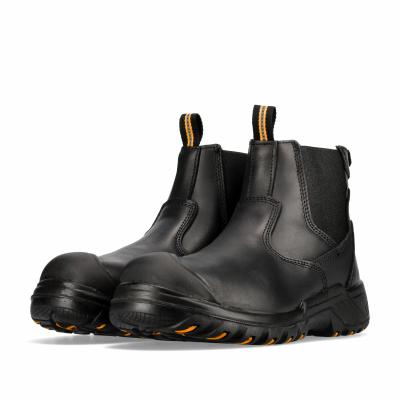 Crazy Horse