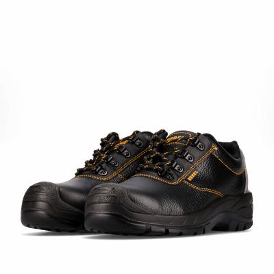 Chukka Shoe