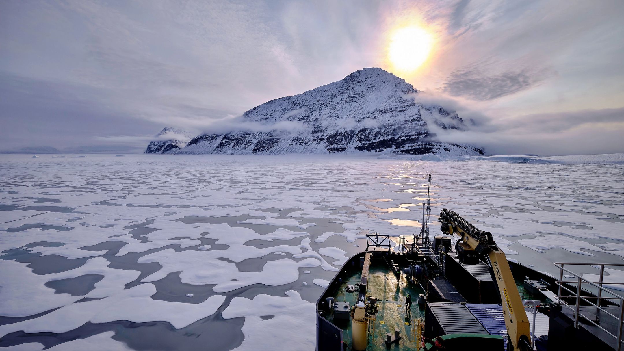 arctic arctic