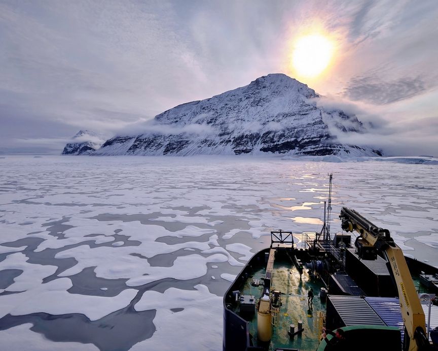 arctic arctic