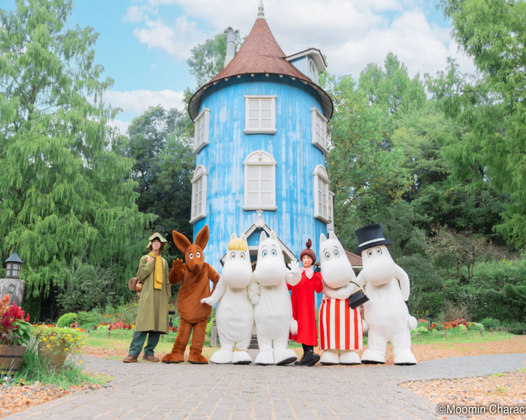 moomin moomin