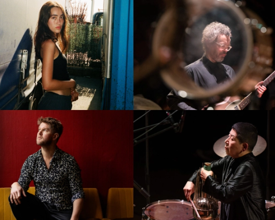 denmark day denmark day