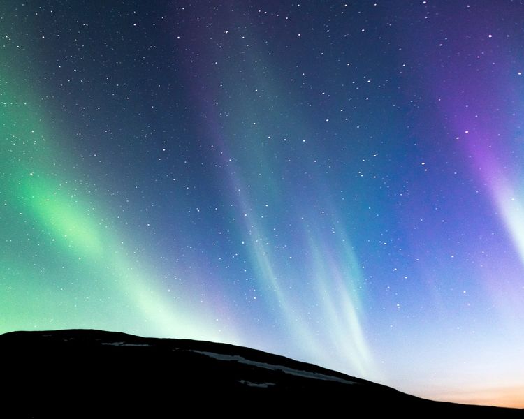 nordic nordic