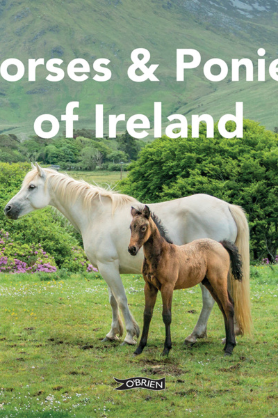Horses and Ponies of Ireland