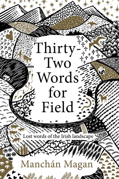 Thirty-Two Words for Field : Lost Words of the Irish Landscape