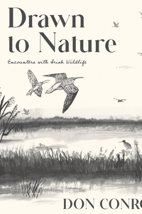 Drawn to Nature : Encounters with Irish Wildlife