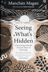 Seeing What's Hidden : Uncovering Ireland's Ancient Ways of Knowing