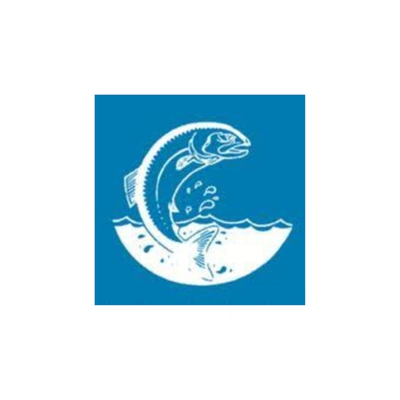 Salmon Poetry logo