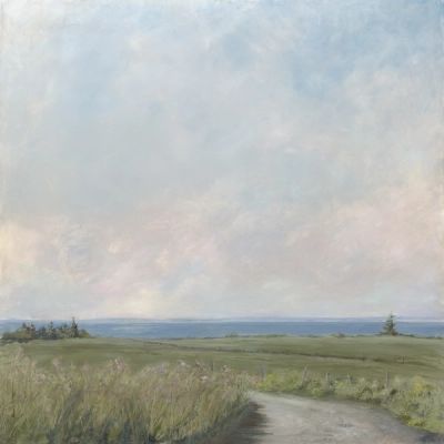 A path on a high meadow overlooking the ocean on a humid summer day.