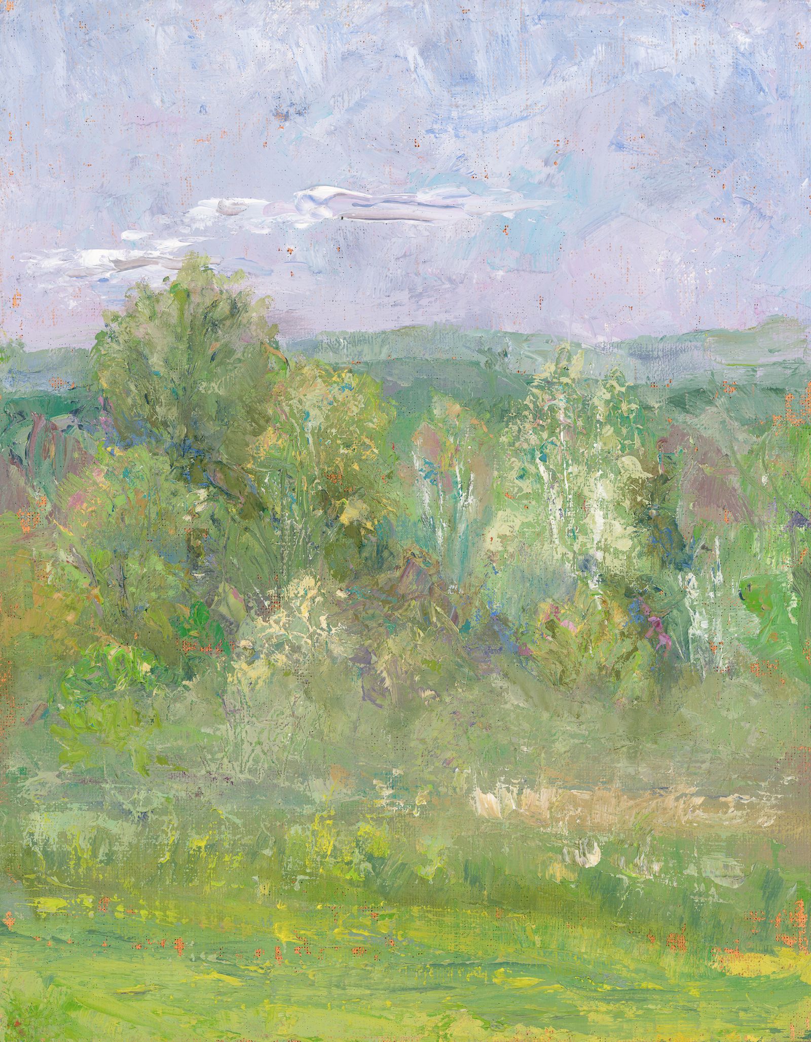 A Plein Air painting of a forest with new spring foliage. Distant hills are in the background and pink clouds are overhead.