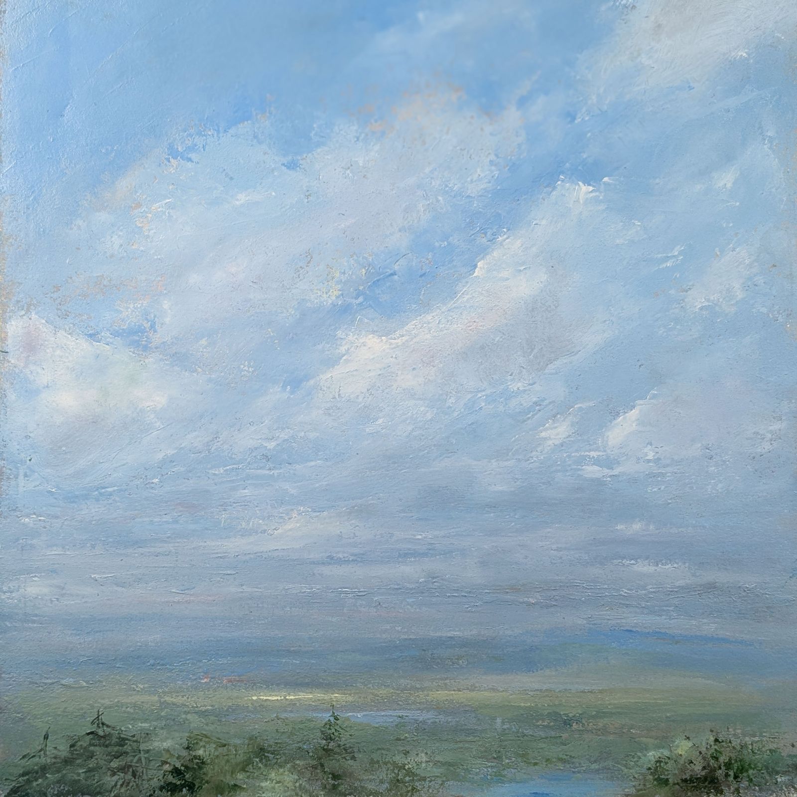 Clouds floating over the forest drifting toward the coast.
