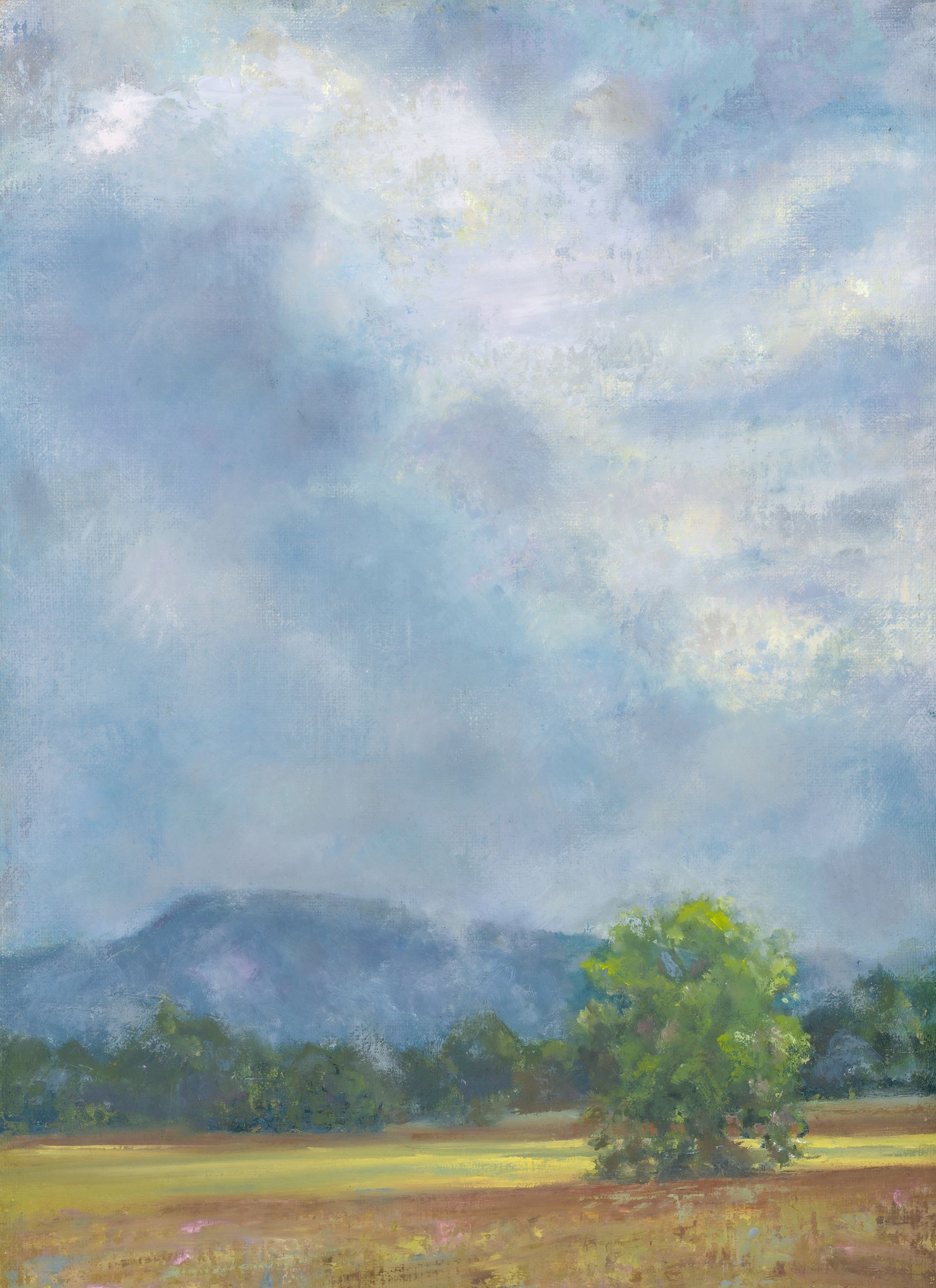 An oil painting on linen of sunlight breaking through clouds and shining on a tree and field with low mountains in the background.