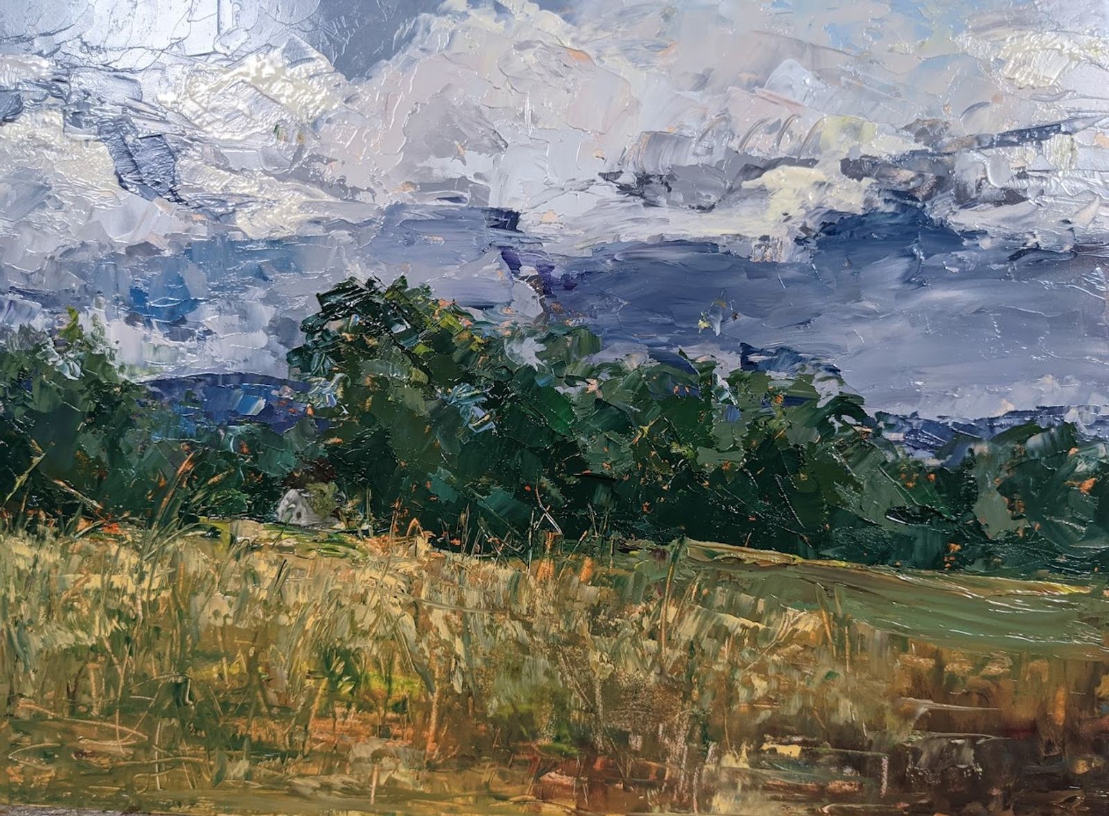 An oil painting of a ripening field in front of a tree line on a summer's day.