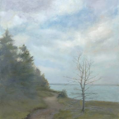 A path winding beside a spruce forest and the ocean. A dead spruce stands sentinel.
