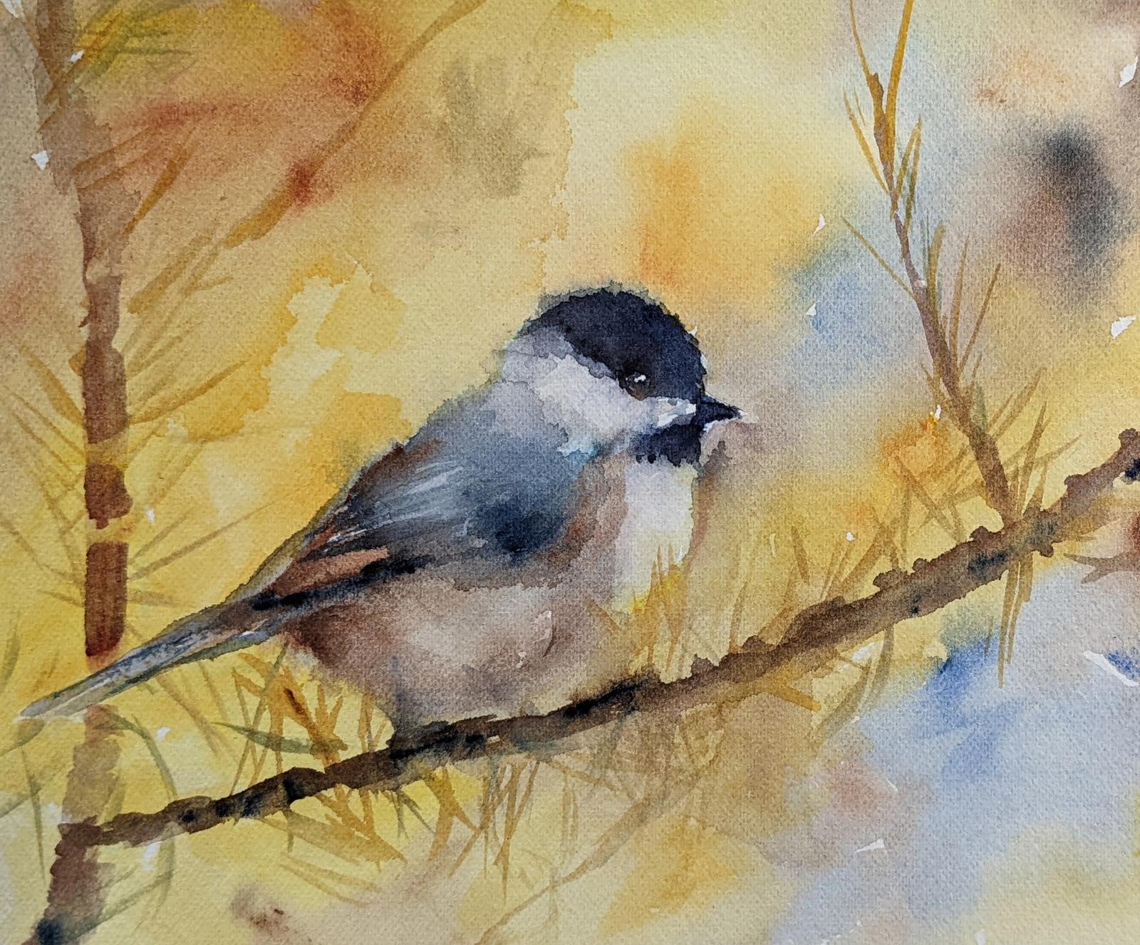 A watercolor painting of a Chickadee 