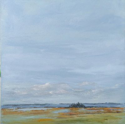 A spruce stand sitting in a saltmarsh on the ocean's edge.