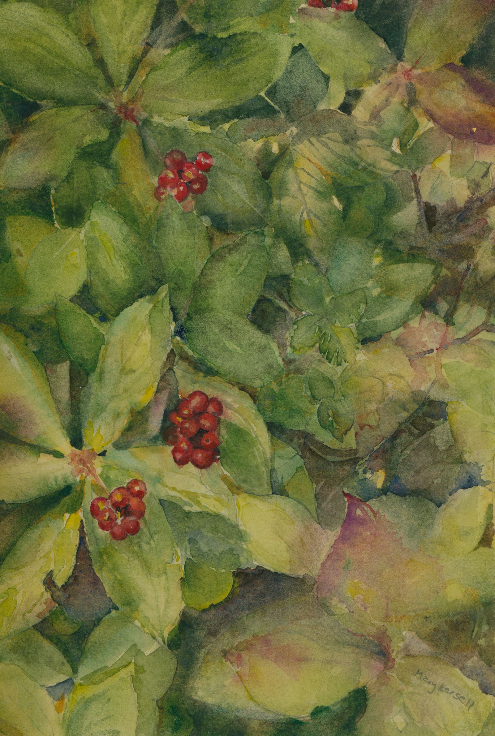 A watercolor of a closeup view of Bunchberry on the forest floor.