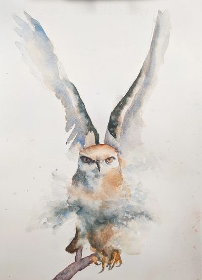 A watercolor painting of a Blackwing Kite, painted during a class with watercolor artist Michele Clamp.