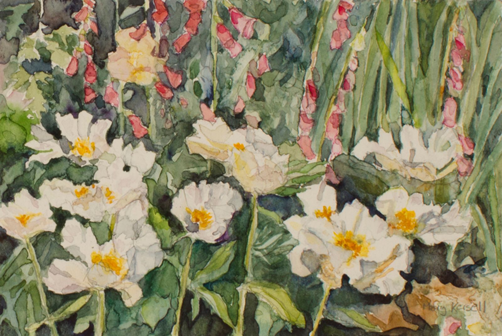 A watercolor painting of white peonies and pink foxglove